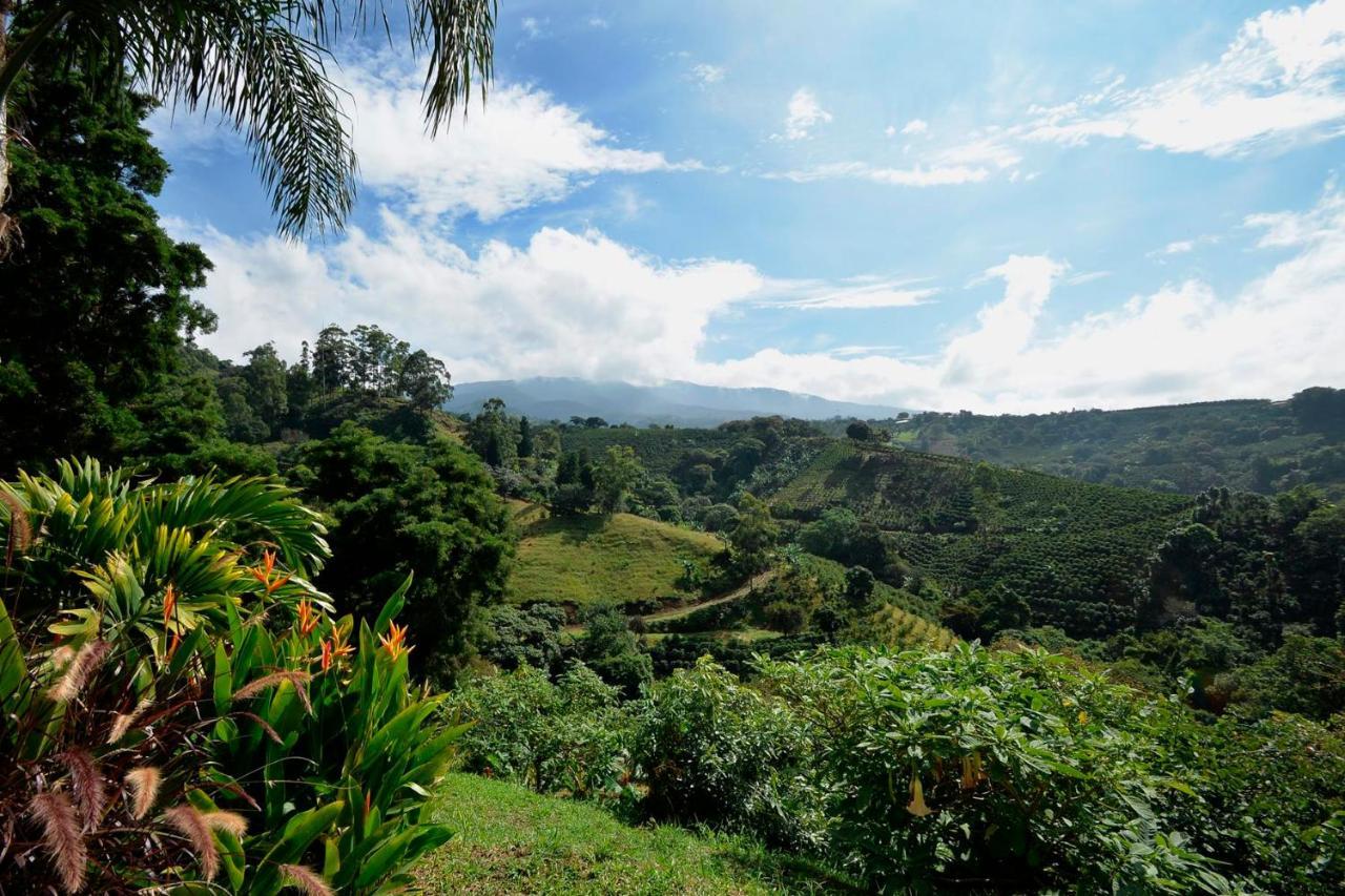 Supercostarica Διαμέρισμα Γκρέσια Εξωτερικό φωτογραφία